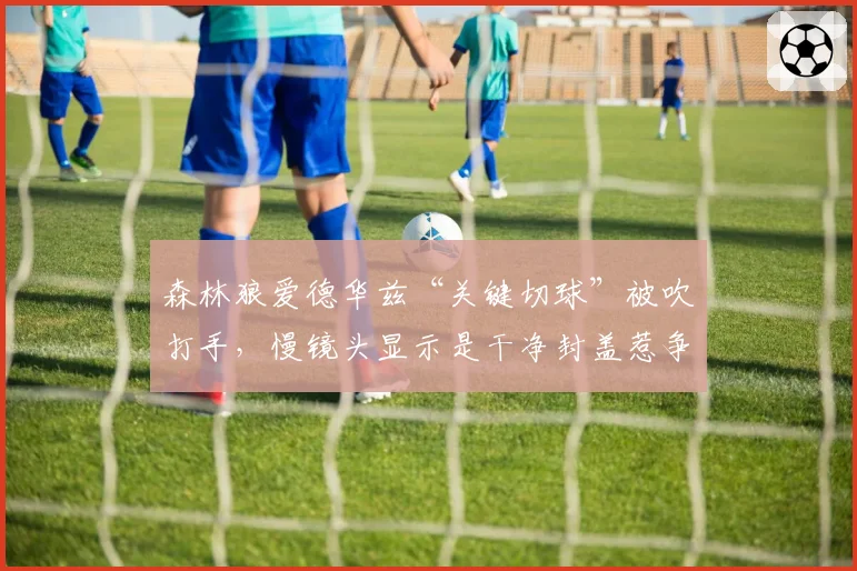 森林狼爱德华兹“关键切球”被吹打手,慢镜头显示是干净封盖惹争议