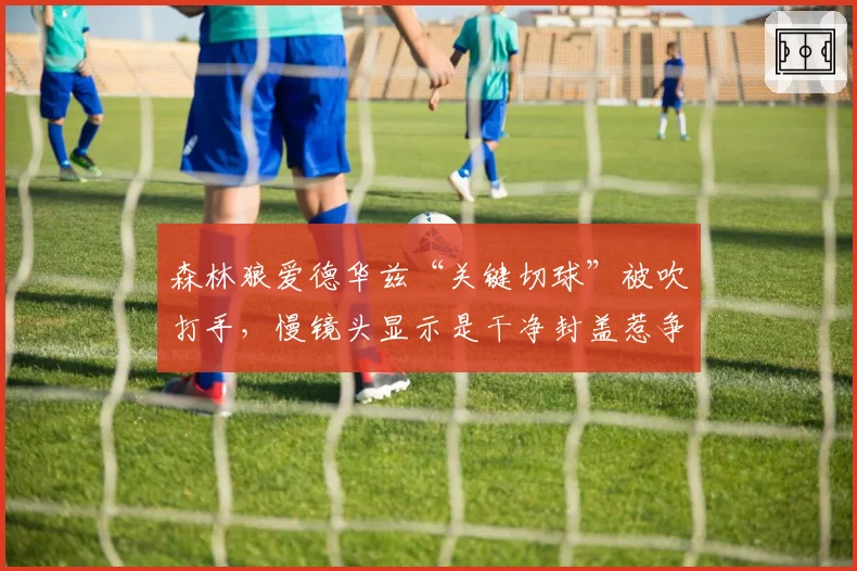 森林狼爱德华兹“关键切球”被吹打手,慢镜头显示是干净封盖惹争议